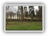 IMG-20180204-WA0009